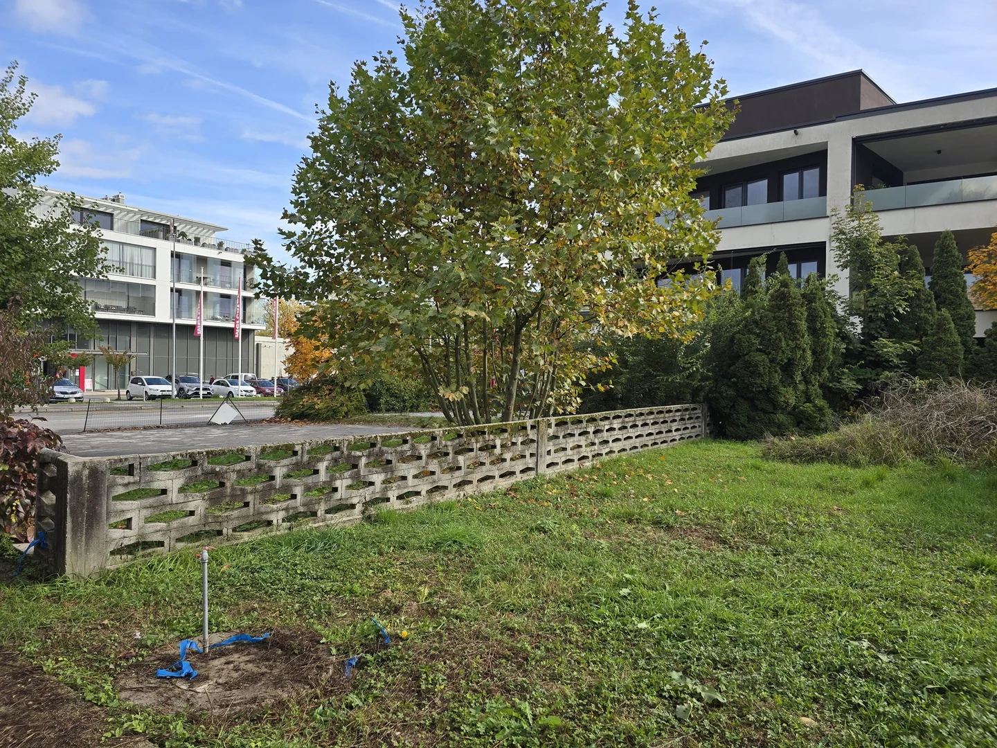 Čudovito zemljišče v Kosezah